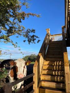 West Coast Whistlestop