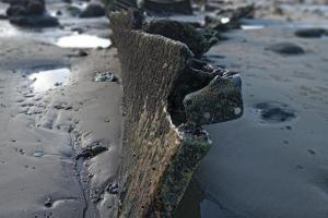 Caravan - Sleeps 8 - Pet Friendly - Parking