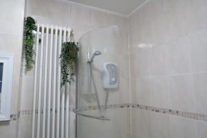 Budget Flat in the Heart of Camden