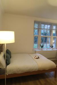 Budget Flat in the Heart of Camden