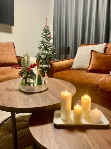 Antonovi Apartments 1 in hotel Laplandia