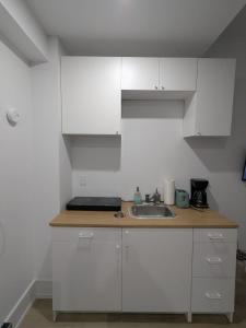 Brand New Private Suite with Parking, Steps to TTC, 15 Minutes to Downtown