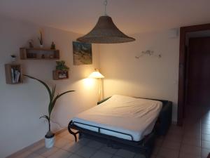 Appartement Le Rucher