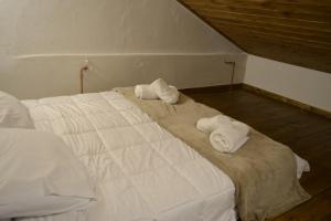 AMPELOPETRA - Slow Country Living