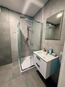 Apartament Krokus - winda, parking