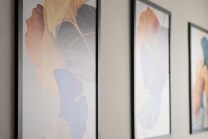 Bexpspces Mackenzie Higienópolis