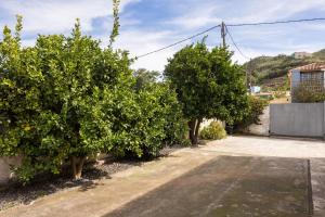 Chalet con Jardin y Barbacoa en el Centro de La Laguna