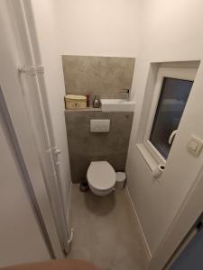 Specious Apartment in Downtown