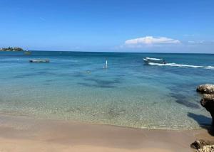 Hospedaje PALMERAS PUNTA TRITON