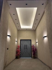 A modern studio in bold colors