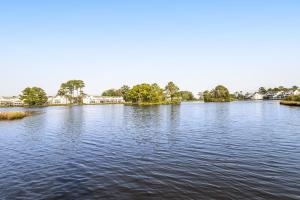 Mallard Lakes - 37986 Eagle Ln #477