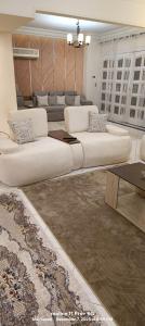 Furnished apartment on the Nile Corniche