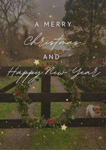 B&BOosterweg3 Studio - Free private parking