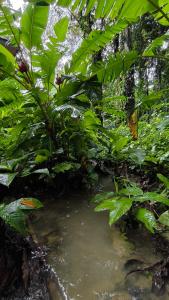 Terranostra Garden Suite