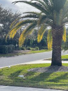 Golf Course Sunset Retreat