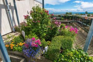 Berolina-801-Meerestraum