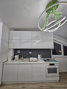 25 Cozy Palm Apartment