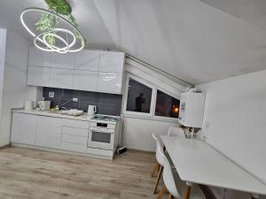 25 Cozy Palm Apartment