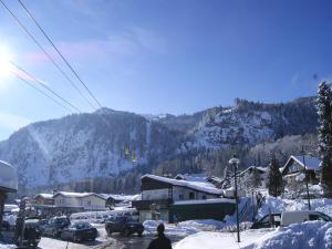 Abis Ferienwohnung Salzkammergut