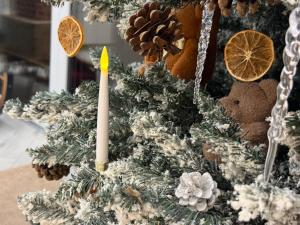 VILLA PIKADI BY THE Baltic Sea