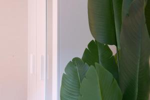 Golden Harmony Apartment in Zurich Oerlikon