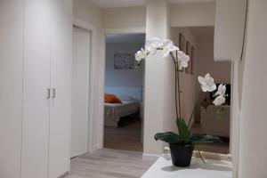 Golden Harmony Apartment in Zurich Oerlikon
