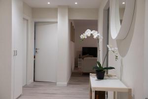 The line Apartment in Zurich Oerlikon