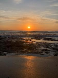 Complejo Bosque Verde