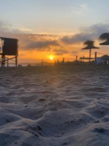 Complejo Bosque Verde