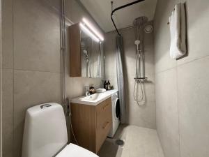 Rovaniemi Tiny Nordic