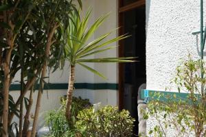 Hotel Boutique Parque Brasil