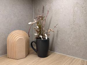 Rovaniemi Tiny Nordic