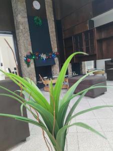 Cuba linda, alojamiento, hospedaje 1 habitación