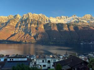 Cosy Lakeview Apartment with Direct Train from Zurich