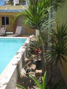 Delightful Beach Time in Chelem