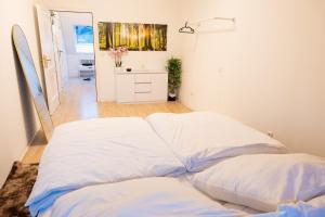 Apartment in St Blasien nahe Dom mit Parkplatz