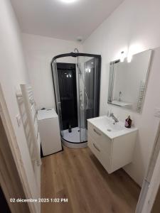Grand appartement de charme rénové au cœur de Troyes