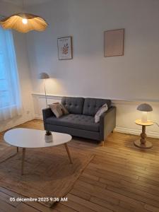 Grand appartement de charme rénové au cœur de Troyes