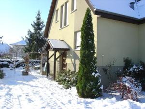 Appartements Appartement Sur La Route des Vins d'Alsace : photos des chambres