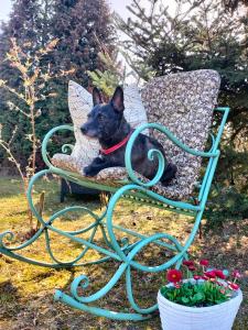 Agroturystyka Zdrowo przez sad