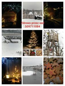 Agroturystyka Zdrowo przez sad