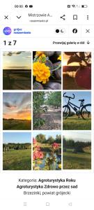 Agroturystyka Zdrowo przez sad