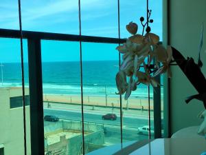 Art Studio - Praia de Armação - 30m Unid 439