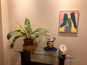 Casa Augusta - Centro Histórico - Pilar