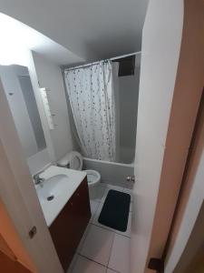 Departamento Viña centro