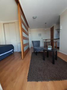 Departamento Viña centro