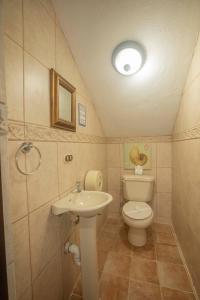 Green Villas El Coco