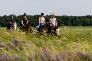 Family Ranch Urlaub am Pferdehof