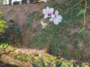 Olinda sítio Histórico Alto da Sé