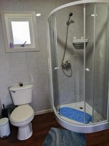 Brisas de Puerto Varas Cabin